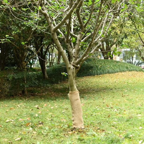 Vidaxl juterol 0,5x25 m 100% jute 200 g m²