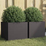 Vidaxl Planters 2 ST 32X30X29 CM BLACK