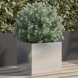 Vidaxx Pflanzgefäß 32x30x29 cm Edelstahl silberfarben