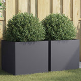 Vidaxl Planters 2 ST 49x47x46 cm Anthracite en acier -colore