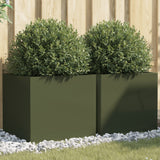 Vidaxl Planters 2 PCs 49x47x46 cm Stat Oliven