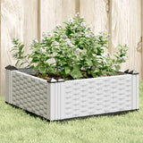Vidaxx Pflanzgefäß mit Zapfen 42,5x42,5x28,5 cm Polypropylen weiß