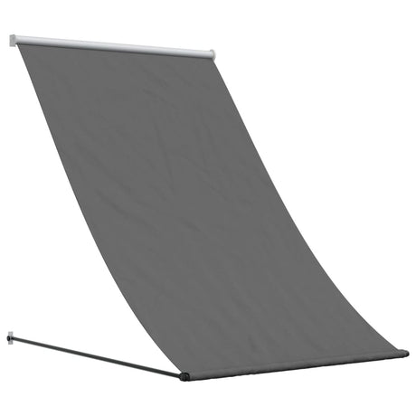 Vidaxx ausziehbare Markise 100x150 cm Stoff und Stahl Anthrazit