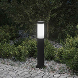 VidaXL Pollerbeleuchtung 50 cm Edelstahl IP44