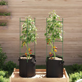 Vidaxl Tomatenkäfig mit Pflanzbeutel 2 Stück 116 cm Stahl und Polypropylen