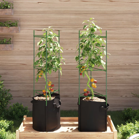 Vidaxl Tomatenkäfig mit Pflanzbeutel 2 Stück 116 cm Stahl und Polypropylen