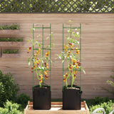 Vidaxl Tomatenkäfig mit Pflanzbeutel 2 Stück 154 cm Stahl und Polypropylen