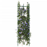 VidaXL Tomatenkäfige 6 Stück 116 cm Stahl und Polypropylen