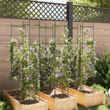 Vidaxl Tomatenkäfig 6 Stück 154 cm Stahl und Polypropylen
