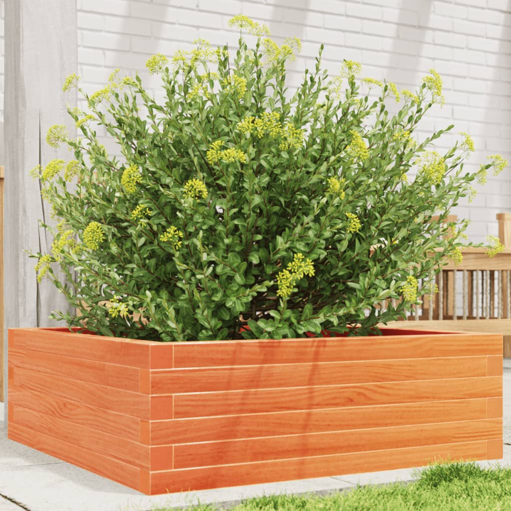 Vidaxx Pflanzgefäß 70x70x23 cm massives Kiefernholz, braun gewaschen