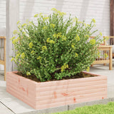 Vidaxx Pflanzgefäß 80x80x23 cm massives Douglasholz