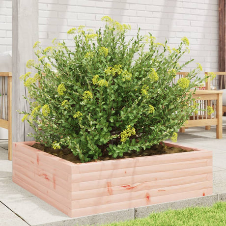 Vidaxx Pflanzgefäß 80x80x23 cm massives Douglasholz