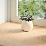 Vidaxx Fensterbänke 2 Stück unbehandelt 70x15x2 cm massive Eiche