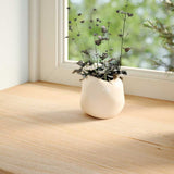 Vidaxx Fensterbänke 2 Stück unbehandelt 80x20x2 cm massive Eiche