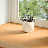 Vidaxl Window Sills 2 St 70x15x2 cm Solid eik lysebrun