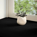 Vidaxl Window Sills 2 PCS 160x15x2 cm Solid eik mørkebrun