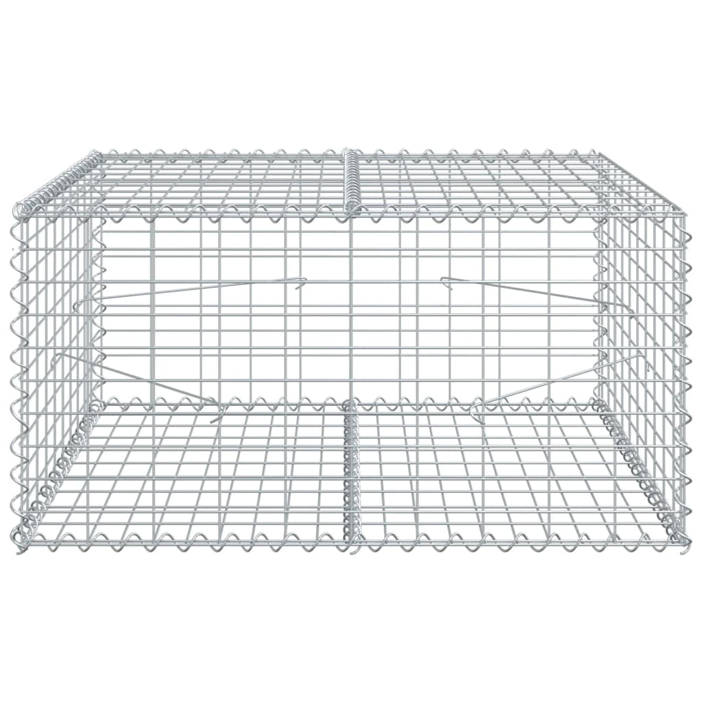 Vidaxx Gabione 100x100x50 cm verzinktes Eisen silberfarben