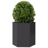 Vidaxx Pflanzgefäß Sechseck 46x40x45 cm Stahl schwarz