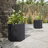 Vidaxx Pflanzgefäße 2 Stk. Sechseck 46x40x45 cm Stahl schwarz