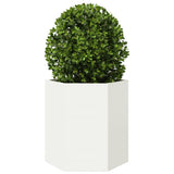 Vidaxx Pflanzgefäß Sechseck 46x40x45 cm Stahl weiß