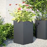 Vidaxx Pflanzgefäße 2 Stück Sechseck 46x40x45 cm Stahl Anthrazit