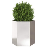 Vidaxx Pflanzgefäß Sechseck 46x40x45 cm Edelstahl