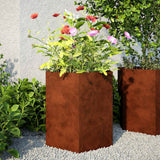 Vidaxx Pflanzgefäße 2 Stk. Sechseck 46x40x45 cm wetterfester Stahl