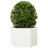Vidaxx Pflanzgefäß Sechseck 69x60x45 cm Stahl weiß