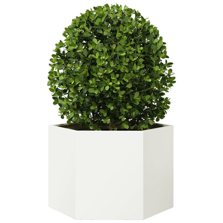 Vidaxx Pflanzgefäß Sechseck 69x60x45 cm Stahl weiß