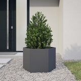 Vidaxx Pflanzgefäß Sechseck 69x60x45 cm Stahl Anthrazit