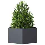 Vidaxx Pflanzgefäß Sechseck 104x90x45 cm Stahl Anthrazit