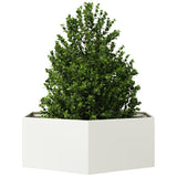 Vidaxx Pflanzgefäß Sechseck 138x120x45 cm Stahl weiß