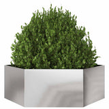 Vidaxx Pflanzgefäß Sechseck 138x120x45 cm Edelstahl