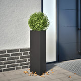 Vidaxx Pflanzgefäße 2 Stk. Dreieck 30x26x75 cm Stahl schwarz