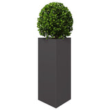 Vidaxx Pflanzgefäß Dreieck 40x34,5x70 cm Stahl schwarz