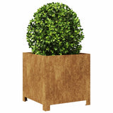 Vidaxl plantenbak 40x40x40 cm weervast staal