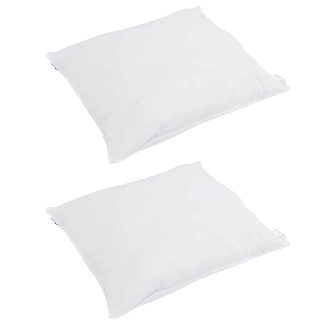 Vidaxl hoofdkussen met kussen 2 pcs wit 50 x 50 cm veren