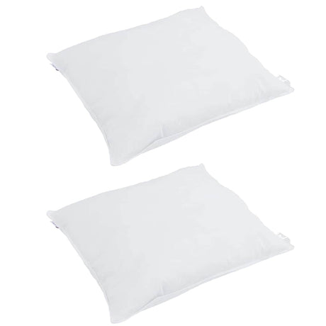 Vidaxl hoofdkussen met kussen 2 pcs wit 60 x 60 cm veren