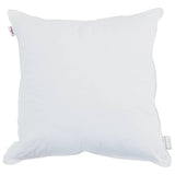 Vidaxl hoofdkussen met kussen 2 pcs wit 40 x 40 cm katoen