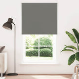 Vidaxl rolgordijn verduisterend 120x210 cm stofbreedte 116,6 cm grijs