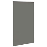 Vidaxx Verdunkelungsrollo 120x230 cm Stoffbreite 116,6 cm Grau