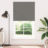 Vidaxx Verdunkelungsrollo 120x230 cm Stoffbreite 116,6 cm Grau