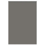 Vidaxx Verdunkelungsrollo 150x230 cm Stoffbreite 146,6 cm Grau