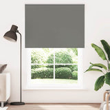 Vidaxx Verdunkelungsrollo 165x230 cm Stoffbreite 161,6 cm Grau