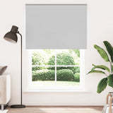 Vidaxl rolgordijn verduisterend 165x210 cm stofbreedte 161,6 cm