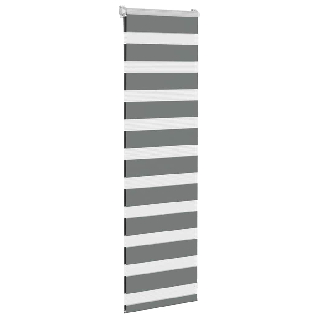 Vidaxl Zebra Rouleau aveugle 45x100 cm Largeur de poussière 40,9 cm Gris foncé