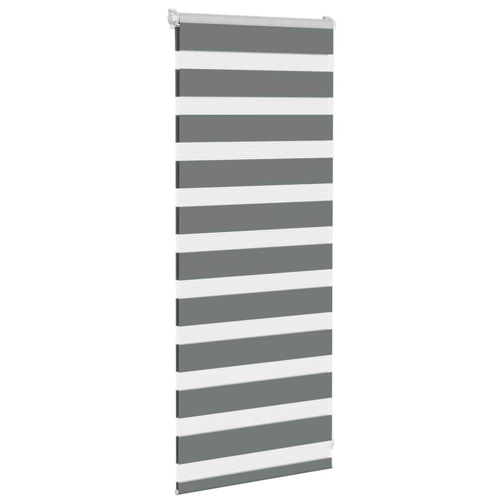 Vidaxl Zebra Rouleau aveugle 55x100 cm Largeur de poussière 50,9 cm gris foncé