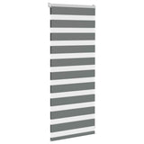 Vidaxl zebra rullo cieco 60x100 cm Larghezza polvere grigio scuro 55,9 cm