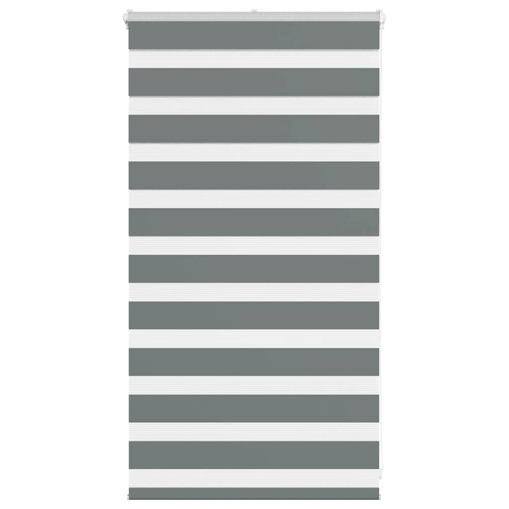 Vidaxl Zebra Rouleau aveugle 70x100 cm Largeur de poussière 65,9 cm Gris foncé