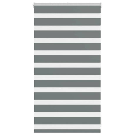 VidaXL Zebra-Rollo 70x100 cm Stoffbreite 65,9 cm Dunkelgrau